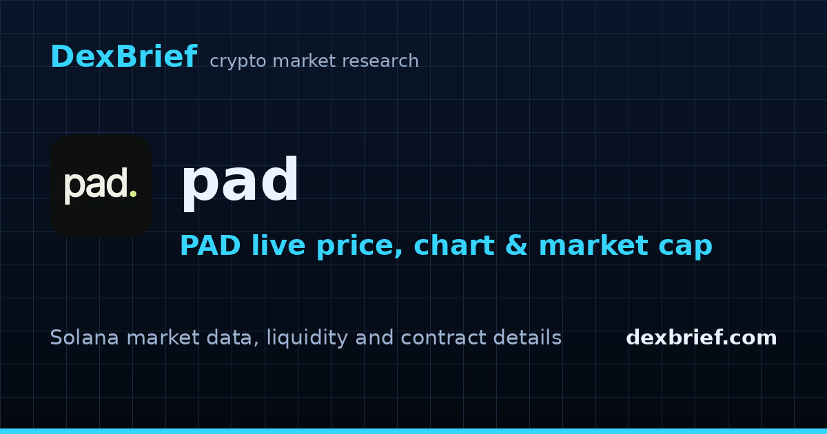 pad on Solana Holders & Liquidity | DexBrief