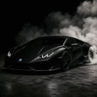 1sol1lambo (1SOL1LAMBO) token icon