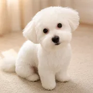 Uniswap Dog (ABE) token icon