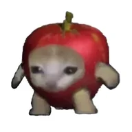 Apple Cat (ACAT) token icon