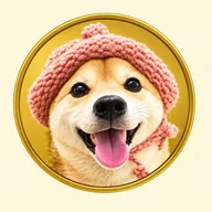 Achicoin (ACHI) token icon