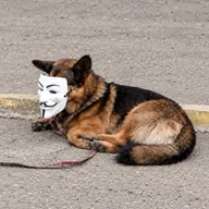 Monero Dog (ADOGYMOUS) token icon