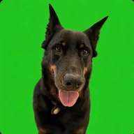 r/dog (ADORA) token icon