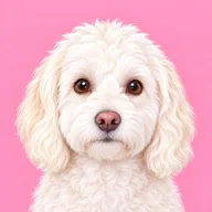 Adorable DelRey (DELREY) token icon