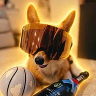 Air Corgi (AIRCORG) token icon