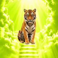 Altai the Tiger (ALTAI) token icon