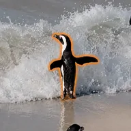 The Amor Fati Penguin (AMORFATI) token icon