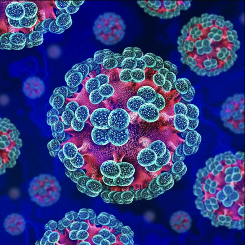 Andes Virus (ANDV) token icon