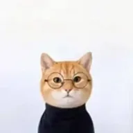 Anti inu (AI) token icon