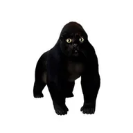 apecat (APECAT) token icon