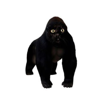 apecat (APECAT) token icon