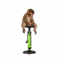 apeonpump (PUMP) token icon