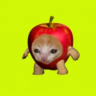 Apple Cat (APPLCAT) token icon