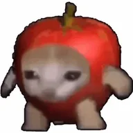 Apple cat (APPLECAT) token icon