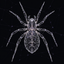 The Arachnarium (ARACH) token icon