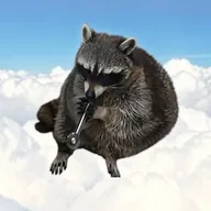 a smoking meth raccoon (ASMR) token icon