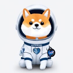 Asteroid Shiba (ASTEROID) token icon
