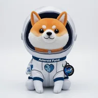 Asteroid Fund (ASTROFUND) token icon