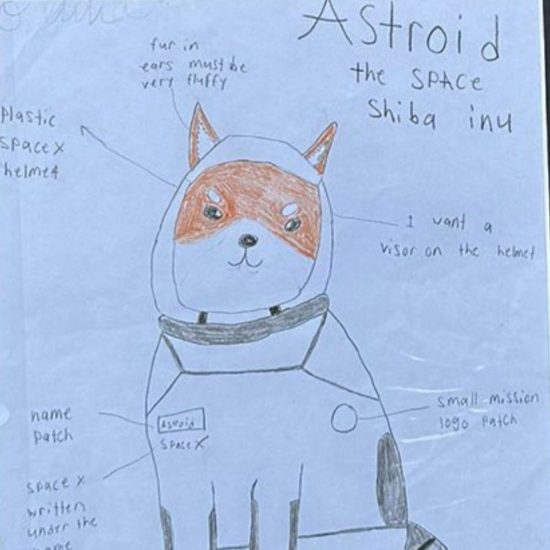 TheSpaceShibaInu (ASTROID) token icon