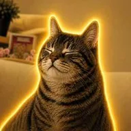 Buy This Cat For Aura (AURACAT) token icon