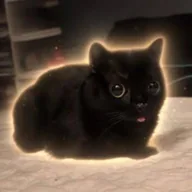 Baby corn the cat (BABYCORN) token icon