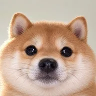 BABY NINU (BABYNINU) token icon
