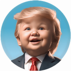 Baby Trump (BSC) (BABYTRUMP) token icon