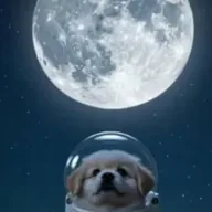 Back To The Moon (MOON) token icon