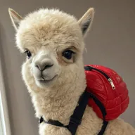 BACKPACA (BACKPACA) token icon