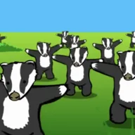 Badger Badger Badger (BADGERS) token icon