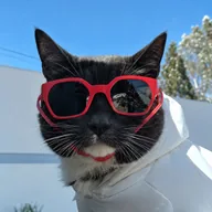 SunglassCat (BAGEL) token icon