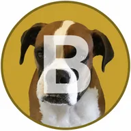 BAILEY (BAILEY) token icon