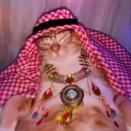 bajiecat (BAJIE) token icon