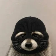 coonwifmask (BANDIT) token icon