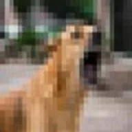 bark (BARK) token icon