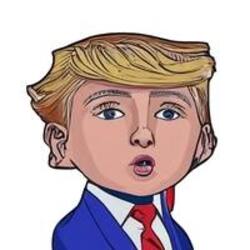 Mini Donald (BARRON) token icon