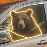 Bear Behind Wheel (BBW) token icon