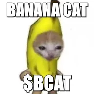 banana cat (BCAT) token icon