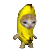 banana cat (BCAT) token icon