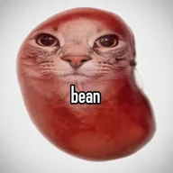bean cat (BEANCAT) token icon