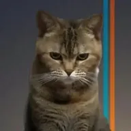 Bean Cat (BEANCAT) token icon