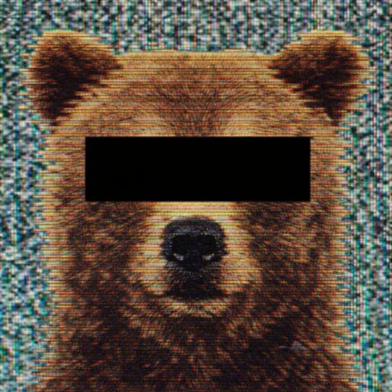 Bear Wanted (BEARWANTED) token icon