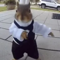 The Dancing Squirrel (BELKA) token icon