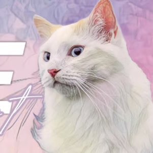 Belle (BELLE) token icon