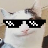Beluga Cat (BELUGA) token icon
