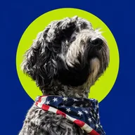 Benny (BENNY) token icon