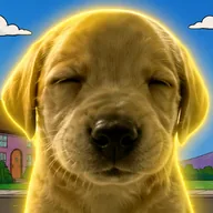 Benny (BENNY) token icon