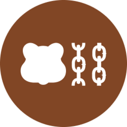 Berachain (BERA) token icon