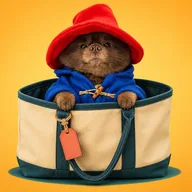 BERT IN THE BAG (BERTBAG) token icon