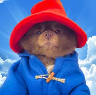 Bertram The Pomeranian (BERT) token icon